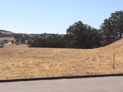 2270 Edgewood #21
